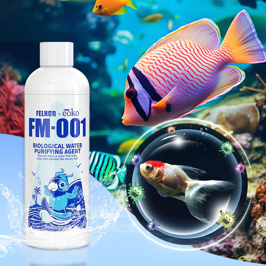 🔥 Hot Selling💝Fish Tank Water Purifier Algae Remover