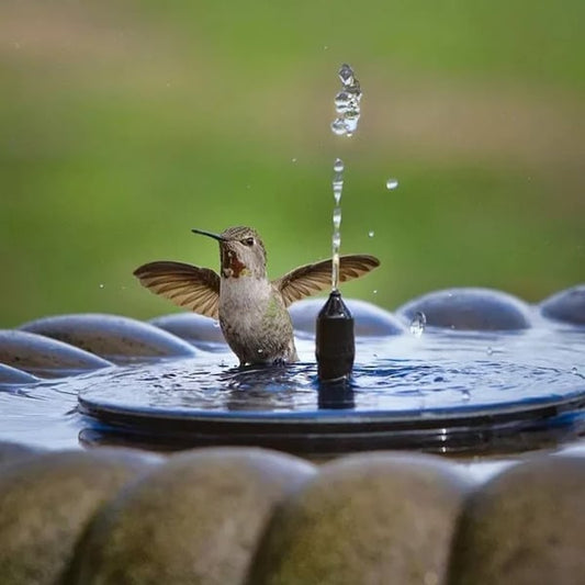 🌟Nouveautés 2026 : jusqu'à -60 % !🌟Fontaine d'eau à énergie solaire