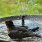 🌟Nouveautés 2026 : jusqu'à -60 % !🌟Fontaine d'eau à énergie solaire