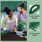 ⏳Offre limitée : 50 % de réduction💥🌱Entretoise et aide à la plantation pour graines de jardin – outil de plantation de précision à 12 trous