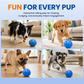 🐶 50 % DE RÉDUCTION EN CE MOMENT ! Balle rebondissante interactive intelligente — Jouet pour chien à roulement automatique, balle de divertissement d'intérieur rechargeable par USB pour chiens