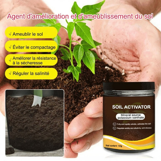🍃🔥 Acheter 2 Obtenir 1 (3 PCS) 🔥  Agent de relâchement d'amélioration du sol