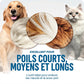 Outil professionnel de démêlage pour chiens et chats