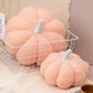 【🎁Gift】2023 Plush Pumpkin Throw Pillow