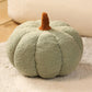 【🎁Gift】2023 Plush Pumpkin Throw Pillow