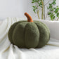 【🎁Gift】2023 Plush Pumpkin Throw Pillow