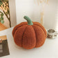 【🎁Gift】2023 Plush Pumpkin Throw Pillow