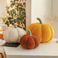 【🎁Gift】2023 Plush Pumpkin Throw Pillow