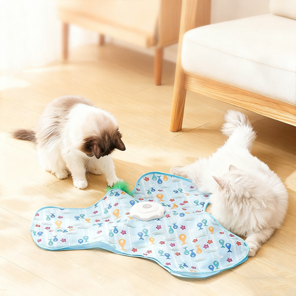 Jouet 2 en 1 pour chat – jeu de cache-cache