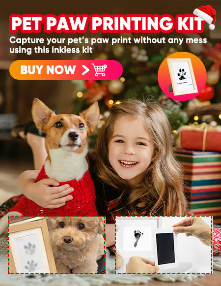 🎄Soldes de Noël 49 % DE RÉDUCTION🎁🐶Kit d'empreintes de pattes d'animaux avec cadre pour cartes🐾🐾