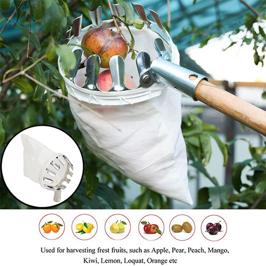 Panier de ramassage des fruits pour arbres (sans poignée)