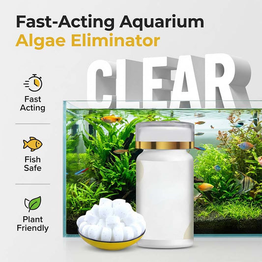 Aquarium Green - Produit anti-algue et anti-mousse