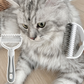 -50% Aujourd’hui 🐶🐱 Peigne de Toilettage Double Face