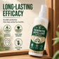 Spray anti-termites pour toutes surfaces en bois