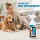 🐶✨ ACHETEZ-EN 2, OBTENEZ-EN 1 GRATUIT – Produit anti-taches et anti-odeurs pour animaux de compagnie | Spray nettoyant puissant pour tapis, canapés et sols