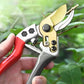 🔥Une taille nette et rapide ! Sécateur de jardin ultra-résistant SK5