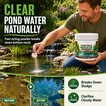 💧 Poudre clarifiante pour bassin | 100 g