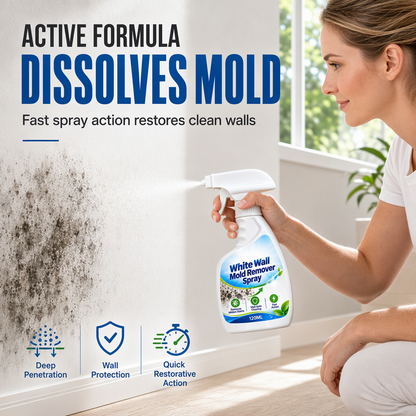 Spray anti-moisissure pour murs à action rapide