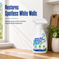 Spray anti-moisissure pour murs à action rapide